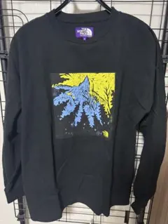 新品未使用THE NORTH FACE PURPLE LABEL ロンT