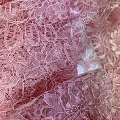 Item thumbnail for item 0be29861-c2a9-44b5-825f-5eb50abd5ca8