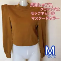 長袖トップス　クロップド丈　マスタードカラー　モックネック風