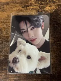 zb1 リッキー NEVERSAYNEVER デジパ 封入トレカ 犬 レオ