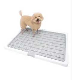 Item thumbnail for item 487b1dbc-6268-4769-ba07-4efe8510901b