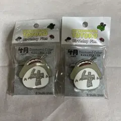 ジブリ ジブリがいっぱい となりのトトロ 誕生月ピンズ 2月 4点セット グッズ
