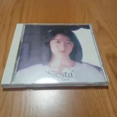 柴田聡子 / SHIBATA SATOKO LIVE SOUVENIR 5CD - メルカリ