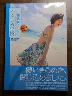 水瀬いのり ここさけスペシャルフォトブック - メルカリ