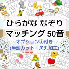 ひらがな 視覚支援 小学校受験 特別支援 知育 50音 あいうえお