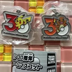 匿名配送】ポケモン 30周年 メタルチャームマスコット ピカチュウ ヒトカゲ