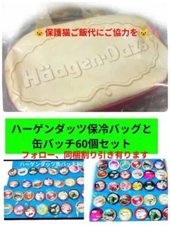 ハーゲンダッツ保冷バッグと缶バッチ60個セット