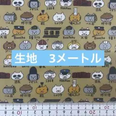 生地　3メートル　同封不可