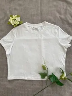 SHEIN⭐︎シーイン　半袖Tシャツ　無地⭐︎白　Ｌサイズのサムネイル