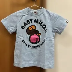 Item thumbnail for item a394204c-d878-4f61-b74f-61b23a35fcde