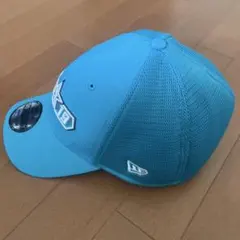 Item thumbnail for item dc88ba7f-cd0e-4851-888a-5371617ca0d7