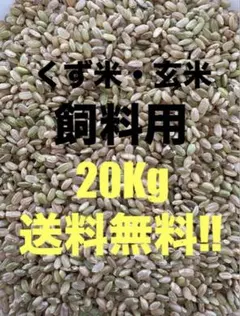 20kg（玄米）　くず米　スズメ　ニワトリ　エサ　飼料用・肥料用のサムネイル