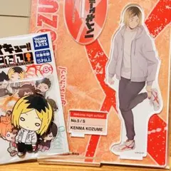 286【新品】ハイキュー 孤爪 研磨 JF シューズフィット ジャンフェス 私服