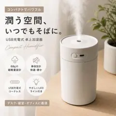 加湿器 小型 卓上 超音波式 上から給水 USB給電 超微細ミスト 260MLのサムネイル