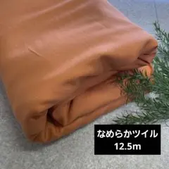 Item thumbnail for item 67707b83-3ace-4840-905f-d227e26b8d23