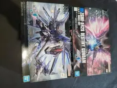 HG 1/144 デスティニーガンダム ライジングフリーダムガンダム