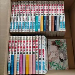 Item thumbnail for item 7fdc0a69-e173-499b-bec5-9305bd49702d