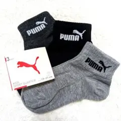 新品　プーマ　キッズソックス　19〜21センチ　PUMA　ロゴソックス