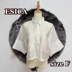 ESICA　シアーワッシャーカフスシャツ　ホワイト（F）クロップド