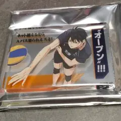 ハイキュー!!　ミニアクリルブロック　影山飛雄　名言