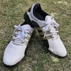adidas ゴルフシューズ ホワイト/ブラック