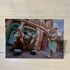 東京ディズニーリゾート チップとデール クラリス ポストカード