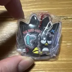 サンリオ　パッケージチャーム&チョコボーロ