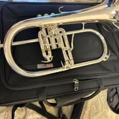 Item thumbnail for item 97566cb9-afcc-4b53-991a-12866f48f280