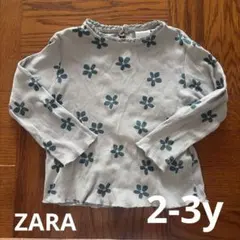 【2-3y/98cm】ZARA 長袖トップス
