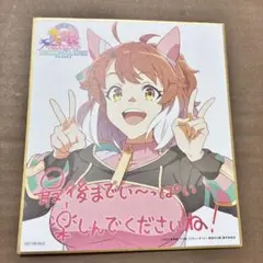 ウマ娘プリティーダービー 新時代の扉 入場者特典 ミニ色紙 ダンツフレーム