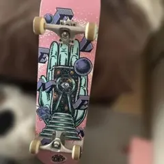 Element skateboard legitimateのサムネイル