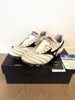 MIZUNO モレリア 2Japan 22.5㎝