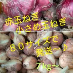 赤玉ねぎ・小さめ玉ねぎのサムネイル