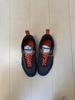 Item thumbnail for item b17cb98b-fd49-4936-8089-71e25f9d1795