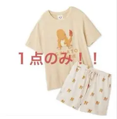 完売品】ポケモン カルム B2タペストリー カロス トレーナー 主人公
