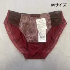 Item thumbnail for item debe26f3-71a0-48f1-a81d-382ff27da491