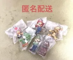 めじるしアクセサリー　マリオ、ルイージ、ヨッシー、キノピオ、シークレット