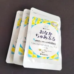 最強の乳酸菌W（ウォーク）45g 獣医師シワ男監修 - メルカリ