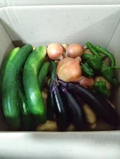 新鮮野菜詰め合わせ 旬の野菜セット　80サイズのサムネイル
