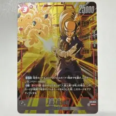 $レイシオン $様 リクエスト 2点 まとめ商品