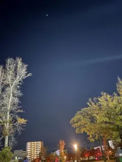 yt128h様せんよう