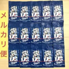 BBM 2024 ベースボールカード　中日ドラゴンズ 15パック　まとめ売り