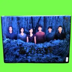 DVD　眠れる森 全4枚 全巻セット　野沢尚　中山美穂　木村拓哉　仲村トオル DVD 眠れる森 全4枚 全巻セット 野沢尚 中山美穂 木村拓哉 仲村トオル