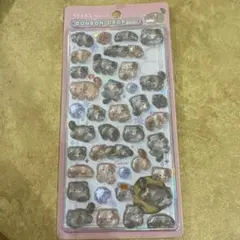 さ*と様 マヌルネコ ボンボンドロップシール 正規品