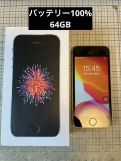 iPhone SE 第1世代【バッテリー100%】スペースグレー 元箱付き