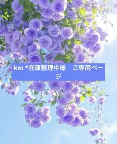 ☆km *在庫整理中様　ご専用ページ☆