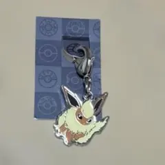 ポケモン マイナン メタルチャーム - メルカリ