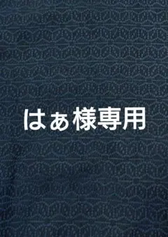 はぁ様　専用