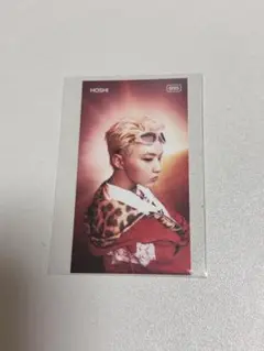 SEVENTEEN BSS TELEPARTY ホシ トレカ