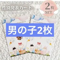 Item thumbnail for item 67d434d9-b198-462f-888f-61d10e52fe02